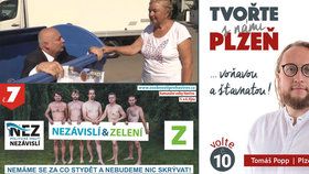 Předvolební kampaň vrcholí: Primátor leze z popelnice, Zelení naháči i „šťavnatá“ Plzeň