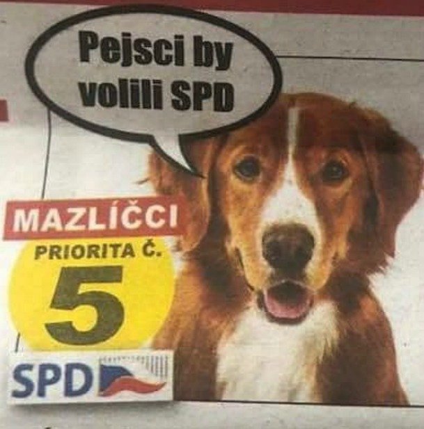 SPD? Psiska by volila každého, kdo dá pamlsek!