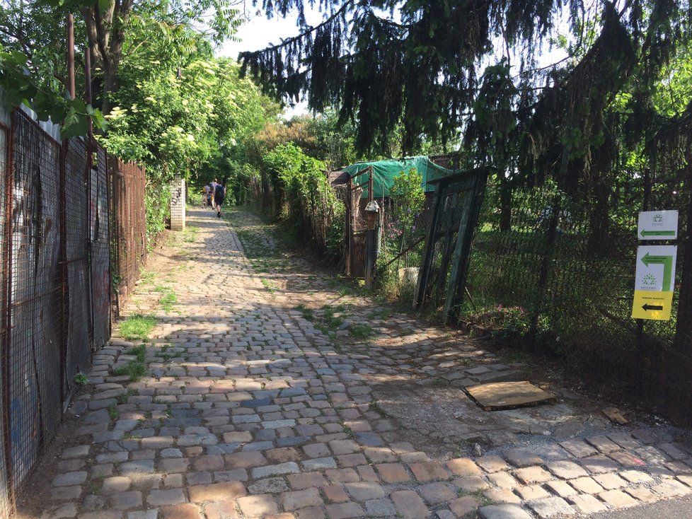 Komunitní centrum Kotlaska se nachází v Libni nedaleko od Palmovky. Určeno je především na pomoc lidem s trestnou minulostí, kteří se chtějí vrátit do normálního života.