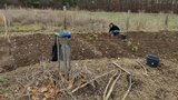 Pěstování vlastní zeleniny v Praze: Na dvou hektarech si můžete pronajmout kus pole