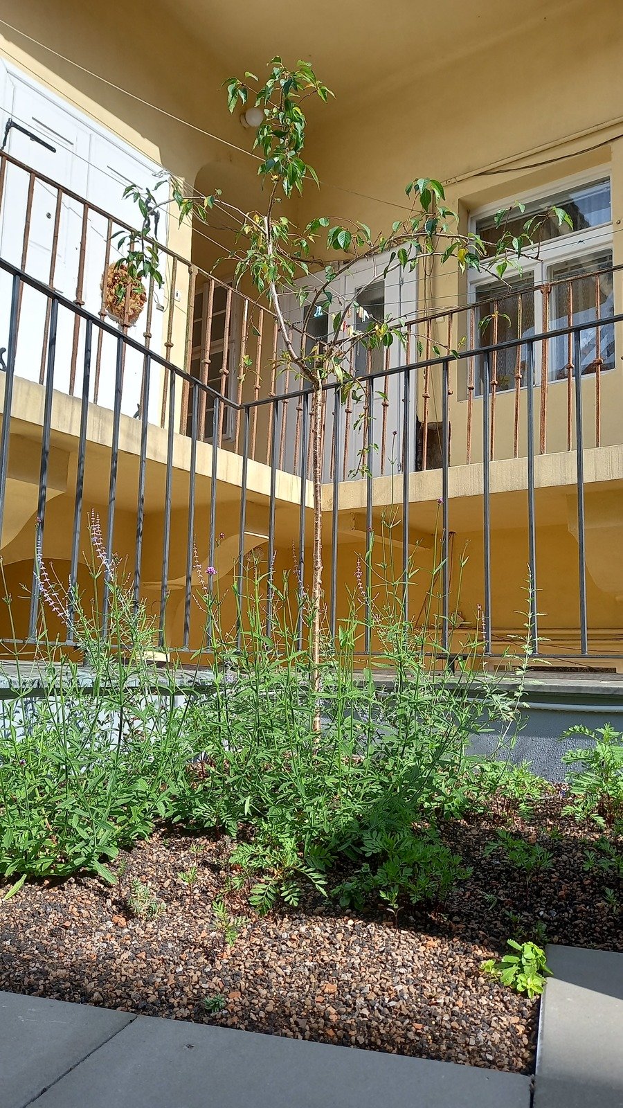 V areálu organizace Život 90 vznikla nová komunitní zahrada v japonském stylu.