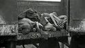 Oběti koncentračního tábora Osvětim.