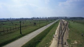 Nedaleko koncentračního tábora v Osvětimi se nachází podstatně větší vyhlazovací tábor, zvaný Osvětim II - Březinka (Birkenau).