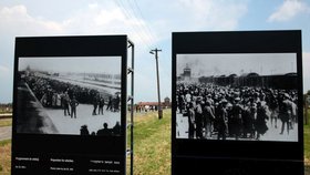 Nedaleko koncentračního tábora v Osvětimi se nachází podstatně větší vyhlazovací tábor, zvaný Osvětim II - Březinka (Birkenau).