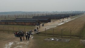 Nedaleko koncentračního tábora v Osvětimi se nachází podstatně větší vyhlazovací tábor, zvaný Osvětim II - Březinka (Birkenau).