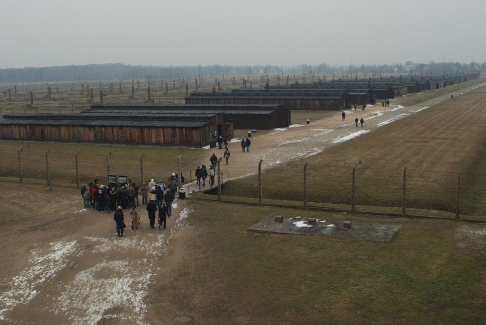 Nedaleko koncentračního tábora v Osvětimi se nachází podstatně větší vyhlazovací tábor, zvaný Osvětim II - Březinka (Birkenau).