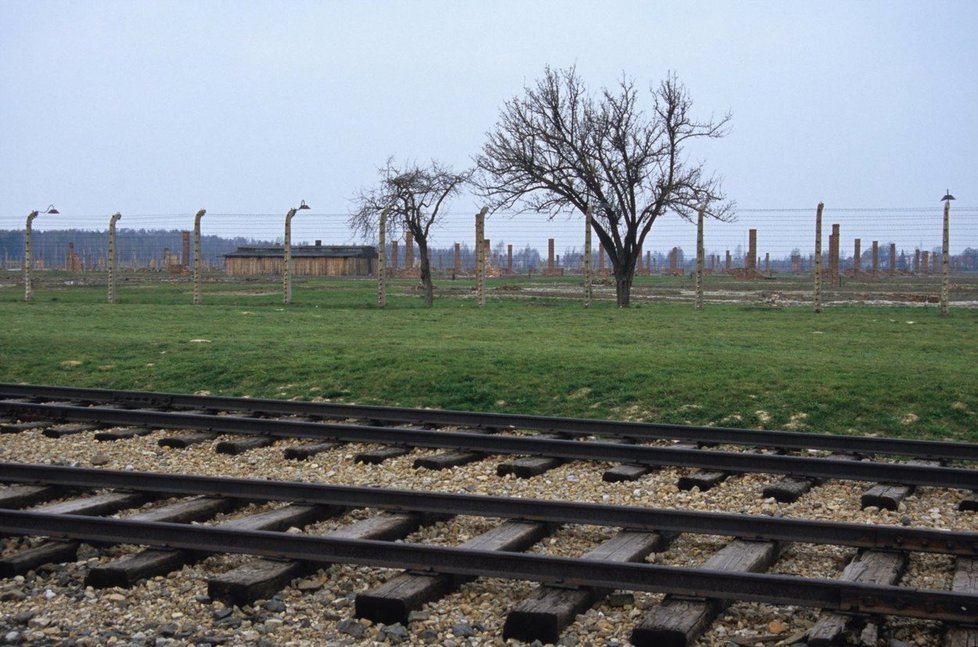 Nedaleko koncentračního tábora v Osvětimi se nachází podstatně větší vyhlazovací tábor, zvaný Osvětim II - Březinka (Birkenau).