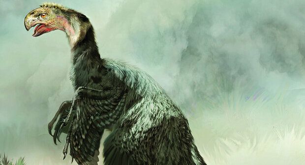 Congo Raptor Konchoraptor (Conchoraptor): Dinosaurus s ptačím zobákem a peřím ...