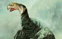 Dinosaurus konchoraptor (Conchoraptor) se vzdáleně podobal velkému nelétavému papouškovi