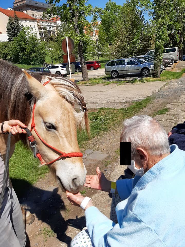 Hipoterapie v nemocnici Milosrdných sester sv. Karla Boromejského.