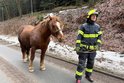 Osobák s přívěsem havaroval na náledí: Zachránili zaklíněného koně