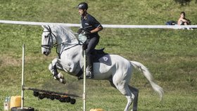 Mistrovství jízdní policie: S koňmi v sobotu v Ostravě předvedou extra kousky