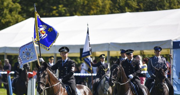 V sobotu obsadí Komenského sady policisté s koňmi.