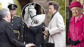 Dcera královny Alžběty princezna Anna propaguje jezení koňského masa