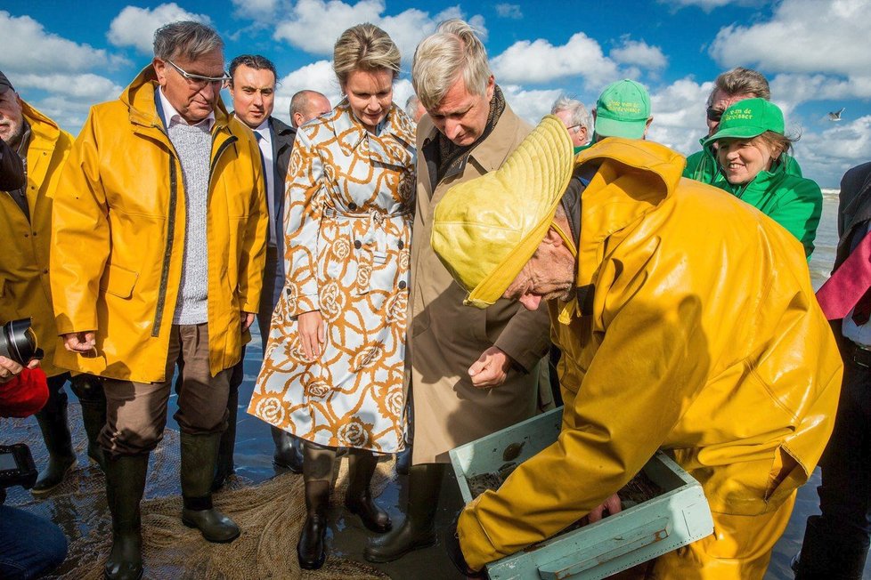 Belgický král Filip s královnou Mathilde na tradičním výlovu krevet.