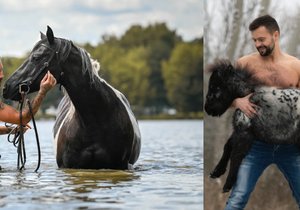 Charitativní kalendář plný svalovců pomůže osiřelým hříbatům.