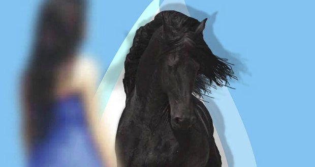 Koně pomáhají 2018 - Jezdecký muzikál