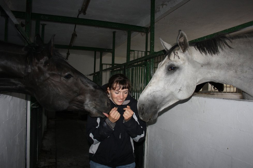 Podle fiakristů a povozníků je o koně v Praze dobře postaráno. Pravidelně například postupují veterinární prohlídky.