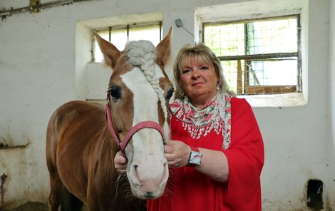 Majitelka koní Iva Rosická zažívá sousedské peklo: Na stáj útočí dobrman