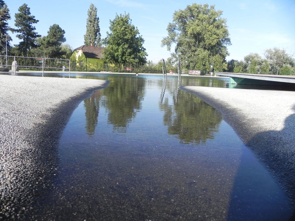 Kouzelná scenérie přírodního koupaliště Biotop na jihu Brna. Otevřeno bude až do 30.září.