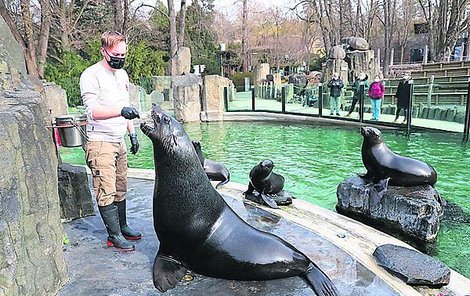 Zoologické zahrady obnovily provoz ve venkovních prostorech. Naplnit ale mohou maximálně 20 procent kapacity.