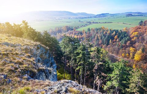 Úchvatné Koněpruské jeskyně: Našly se v nich lidské kosti staré asi 13 tisíc let!