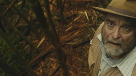 Kong: Ostrov lebek je dobrodružným filmem plným divokých a zvláštních tvorů. • Česká premiéra: 9. 3. 2017