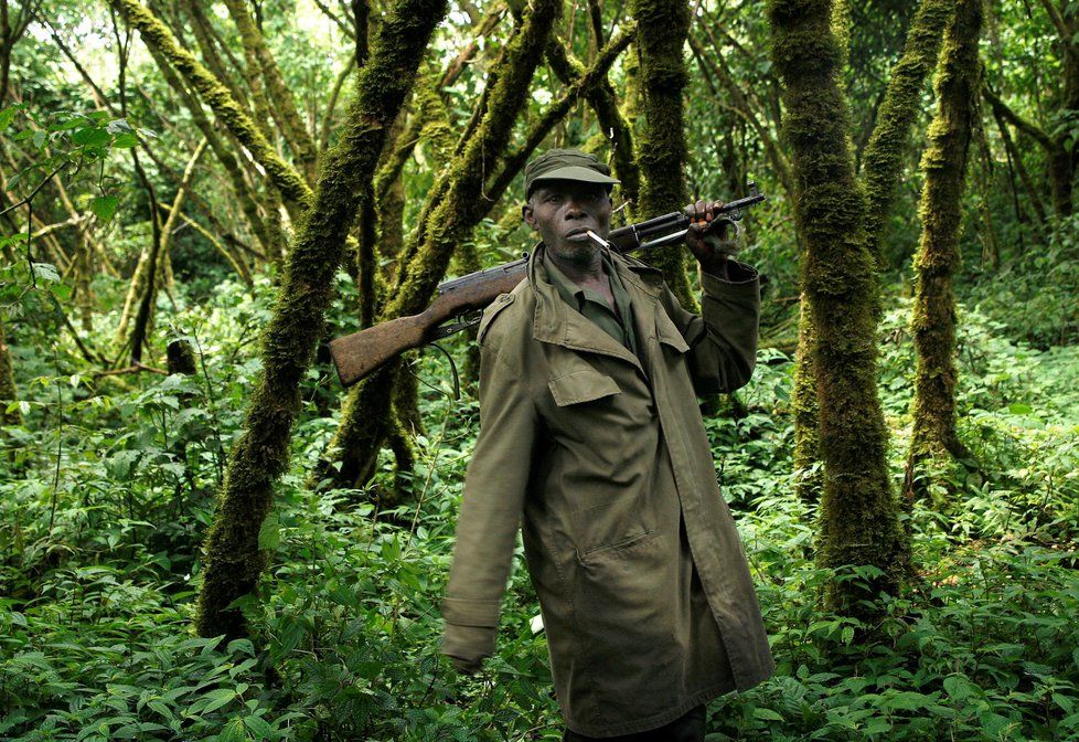 Pět správců národního parku Virunga zastřelila konžská milice.
