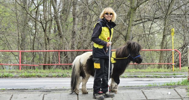 Zuzana Daušová a vodicí koník Katrijn