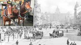 Koňská dráha na Václavském náměstí roku 1895 a zachovalý vůz koněspřežné tramvaje, který můžete vidět v Muzeu MHD ve Střešovicích.