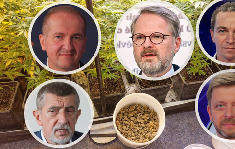 Konec marihuanové prohibice v Česku? Legální pěstování „trávy“ je na obzoru