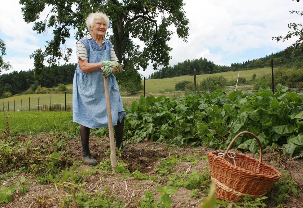 Zemřela Marie Pilátová (†93).