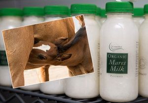 Koňské mléko jako nový trend zdravé výživy