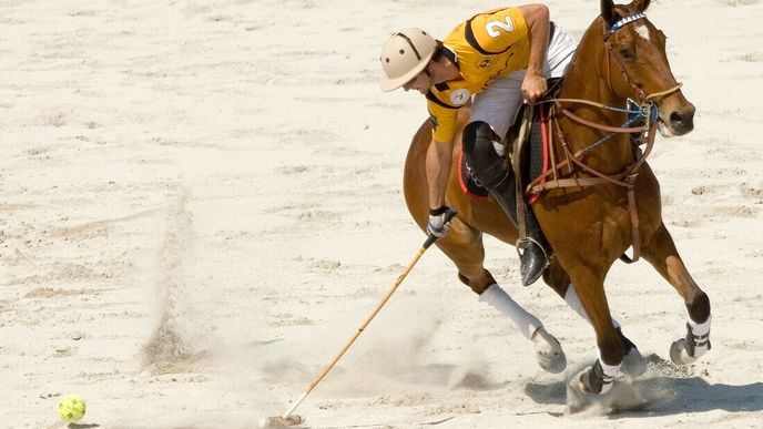 Koňské pólo na písku
