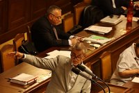 Poslanci se opět nedostali k hlasování o důchodové reformě. Jednání provázely vleklé debaty