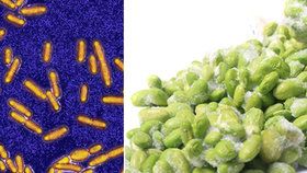 Na český trh se dostala mražená zelenina s podezřením na kontaminaci bakteriemi způsobujícími listeriózu. Prodejci ji nyní ve více evropských zemích stahují z pultů.