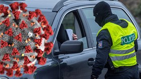 Koronavirus v Česku: Policejní kontrola dodržování zákazu a omezení volného pohybu (1.3.2021)