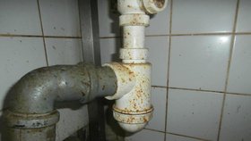 I takto vypadají hygienické nedostatky, na které v bistrech a restauracích narazili inspektoři.