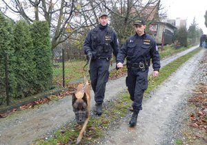 Do pátrání po muži ztraceném v lese nasadila policie i psovoda.Ilustrační foto.