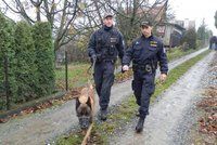 Muž z Blanenska zburcoval policisty a strážníky: Cestou z hospody se ztratil v lese
