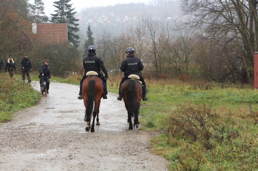 Policejní hlídky, psovodi a jezdci na koních v úterý zkontrolovali stovku chat v okolí Ivančic.