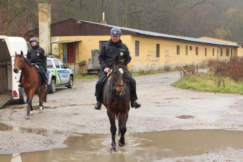 Policejní hlídky, psovodi a jezdci na koních v úterý zkontrolovali stovku chat v okolí Ivančic.