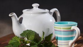 Kopřivový čaj: Dodá sílu a pomůže od alergie