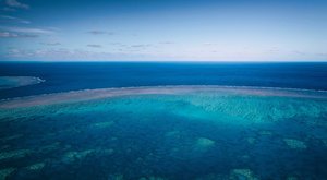 Korálové útesy: Oceánská obdoba deštných pralesů