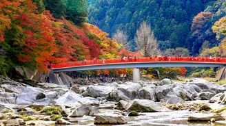 Japonský mnich snil o barevném údolí. Z dávno vysázených javorů je ikonická podzimní atrakce Japonský mnich snil o barevném údolí. Z dávno vysázených javorů je ikonická podzimní atrakce