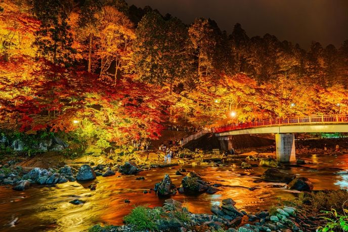 Po setmění se návštěvníkům naskytne fantastický pohled na osvětlené stromy. Po setmění se návštěvníkům naskytne fantastický pohled na osvětlené stromy.