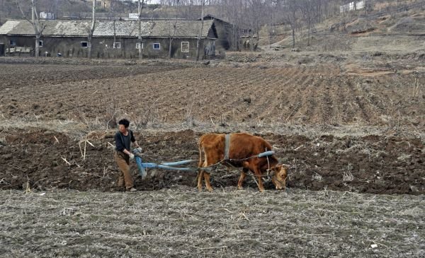 Na korejském venkově vládne středověk