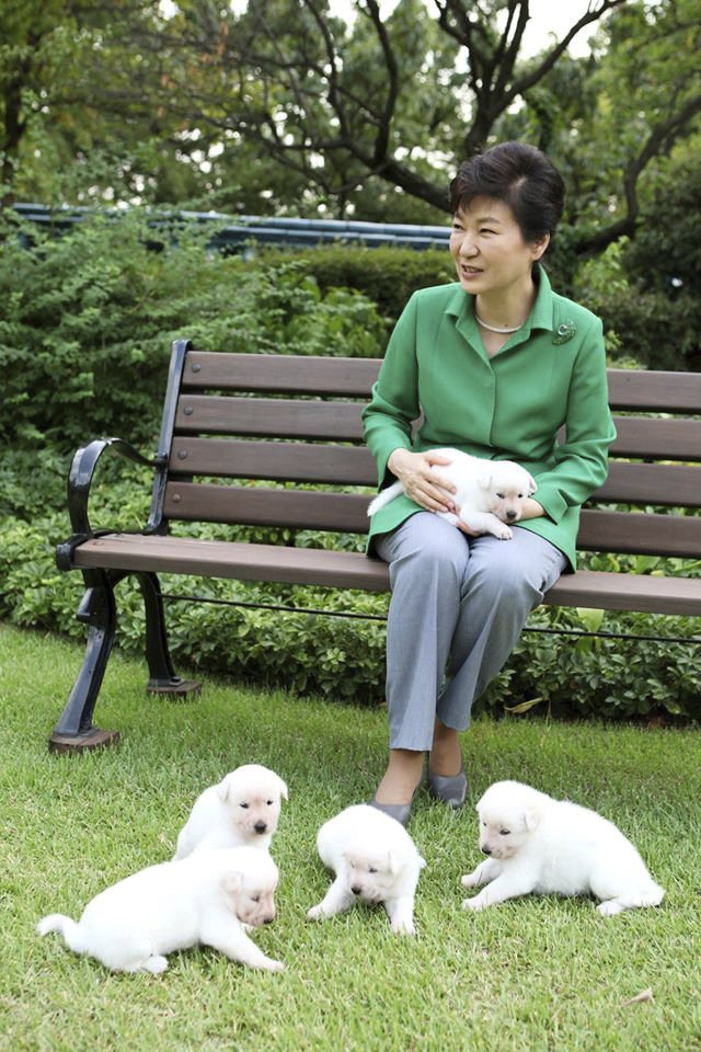 Jihokorejská exprezidentka Pak Kun-hje  se svými psy
