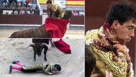 Zkušený matador prohrál souboj s býkem a může být vděčný, že vůbec přežil.