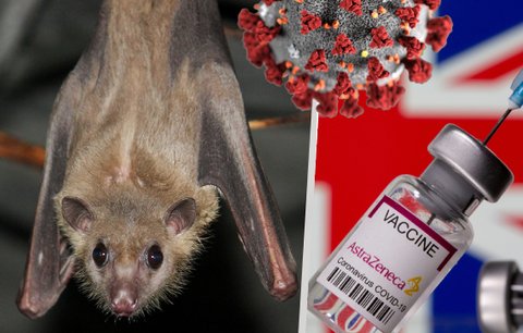 Nový institut chce předpovědět a zkrotit další pandemii: Prozkoumá netopýry i neznámé viry